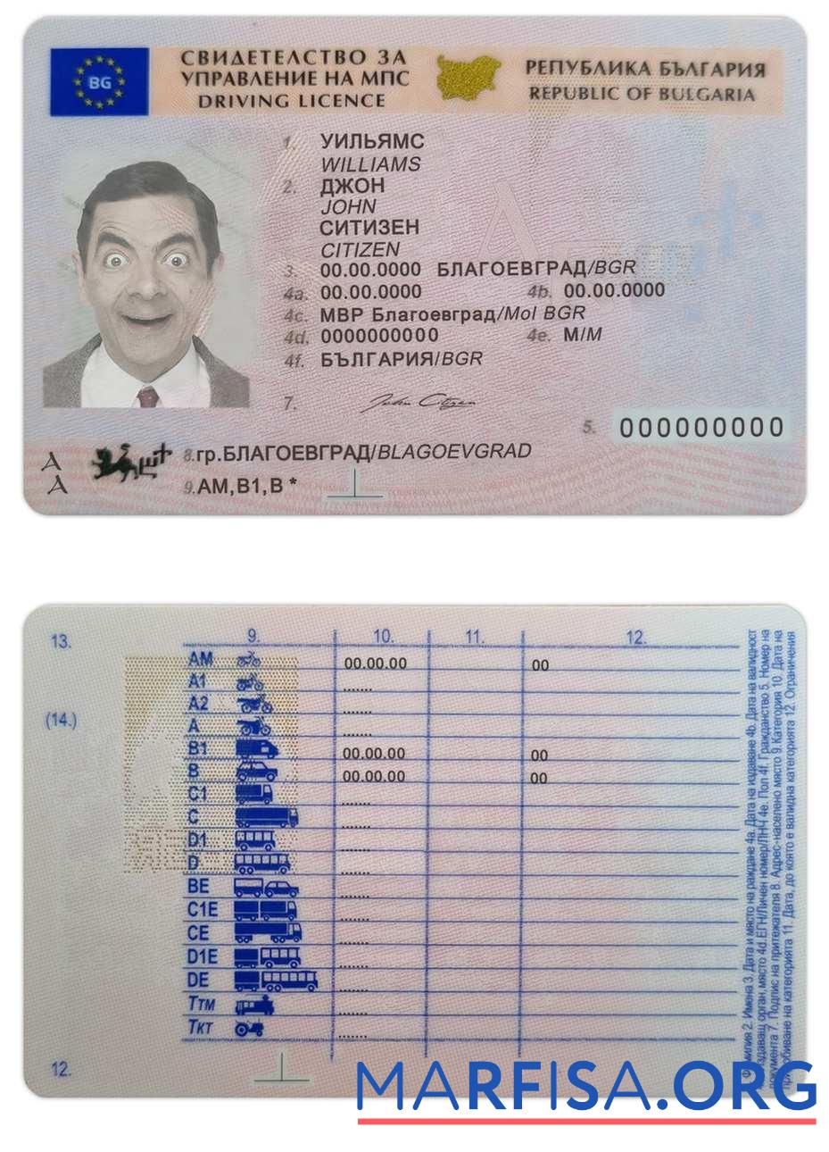 Realistic Bulgaria driving license (2010 – present) real example